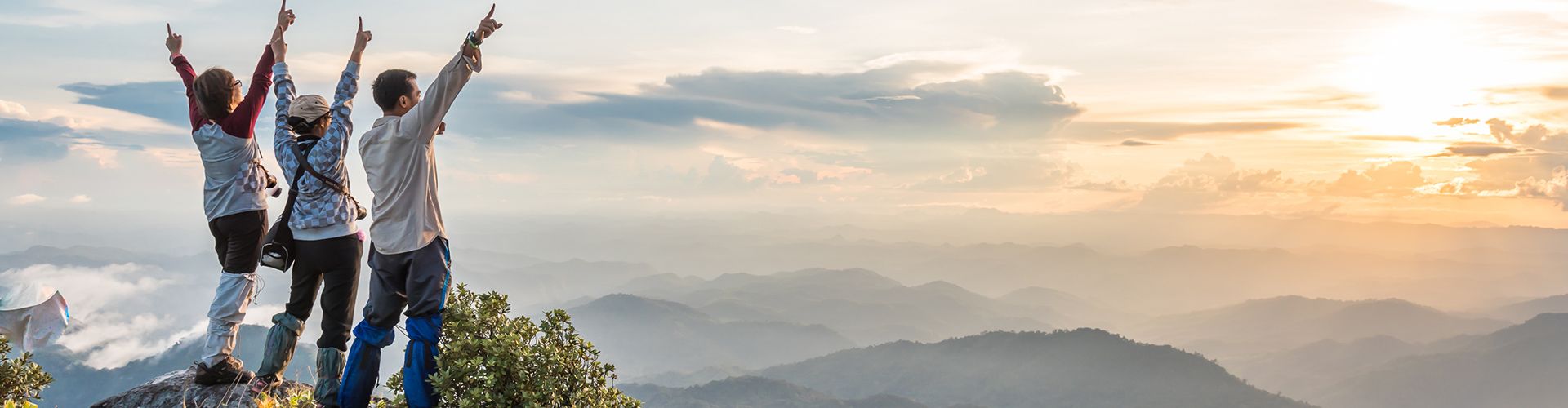 Ease of mind, search filter and book